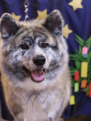 20230717むぎくん